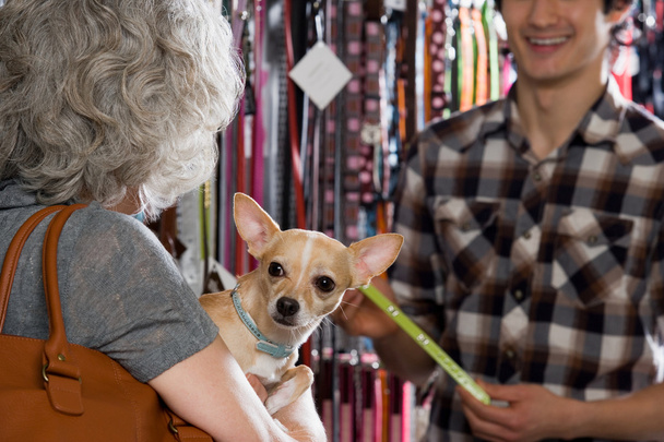 Woman and chihuahua in pet shop - Photo, Image