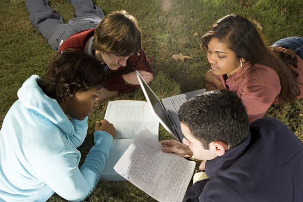 Vier studenten die studeren buiten - Foto, afbeelding