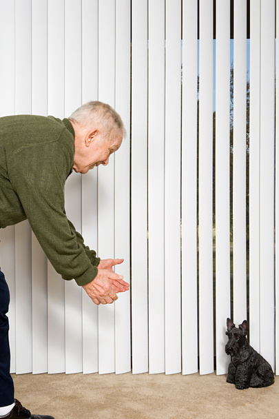 Пожилой человек манит собачьим орнаментом
 - Фото, изображение