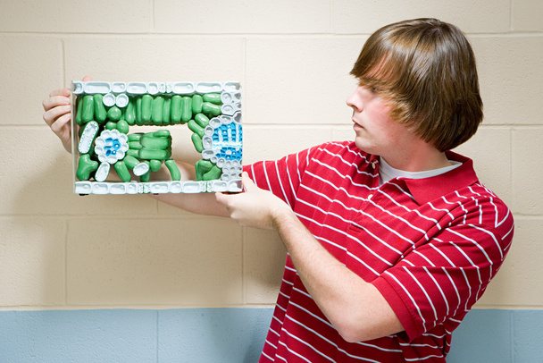 Estudiante masculino sosteniendo un modelo de una planta
 - Foto, imagen