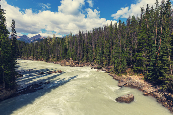 malerischer Blick auf den Athabasca-Fluss - Foto, Bild