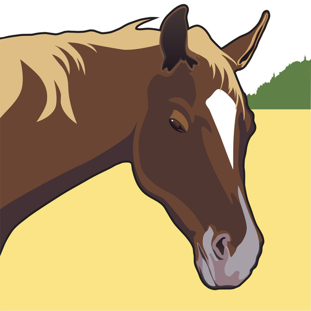 Кінь пасовищі
 - Вектор, зображення