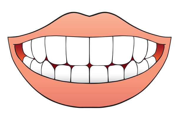 Suun täynnä täydellisiä hampaita
 - Vektori, kuva