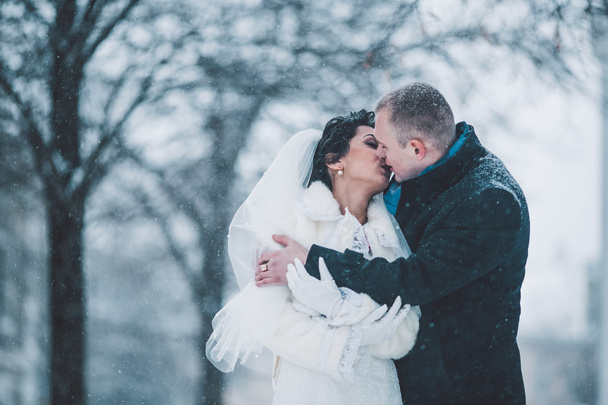 sposa e sposo sullo sfondo di una città invernale
 - Foto, immagini