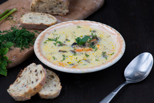 sopa de crema de champiñones vegetariana casera
 - Foto, Imagen