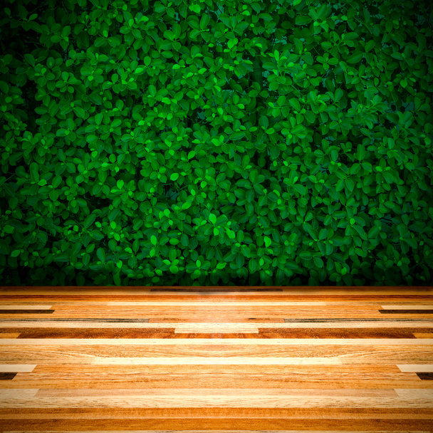 Zöld levelek fal háttér - Fotó, kép