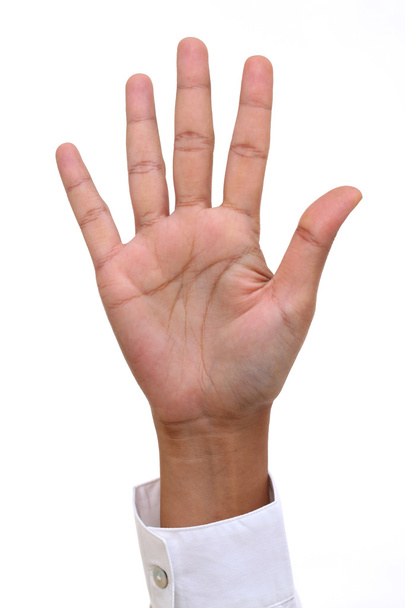 Üzletasszony kéz egy fehér háttér - Fotó, kép