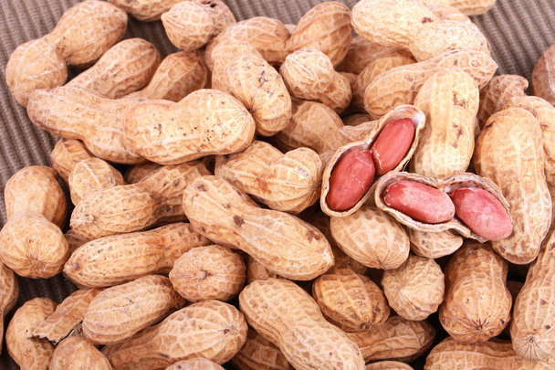 Affennüsse, Erdnüsse oder Erdnüsse in Schalen, isoliert auf weißem Hintergrund - Foto, Bild