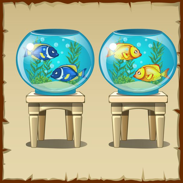 Комплект из двух аквариумов с рыбой на деревянных табуретках
 - Вектор,изображение