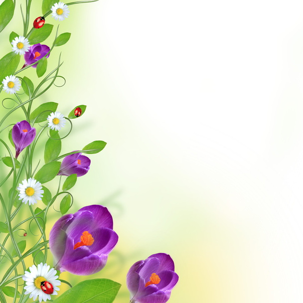 Beautiful floral design - Фото, зображення