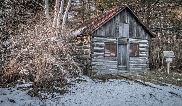 Historical Pioneer Log Cabin - Photo, Image