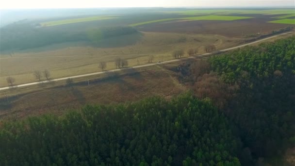 flight over the fields and forest - Materiaali, video