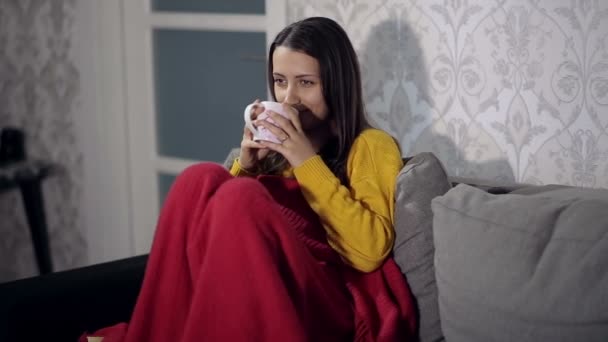 Woman Watching TV and Drinking Tea - Materiał filmowy, wideo