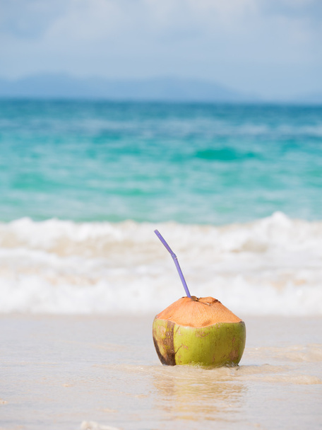 Coconut on white sand tropical beach - Фото, зображення