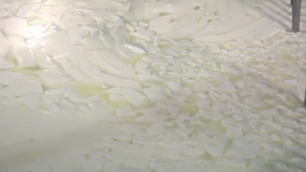 Queso gouda elaborado con leche cruda
 - Imágenes, Vídeo
