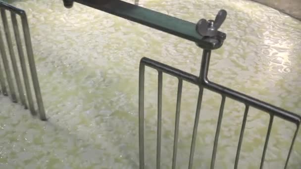 Queijo Gouda fabricado a partir de leite cru
 - Filmagem, Vídeo