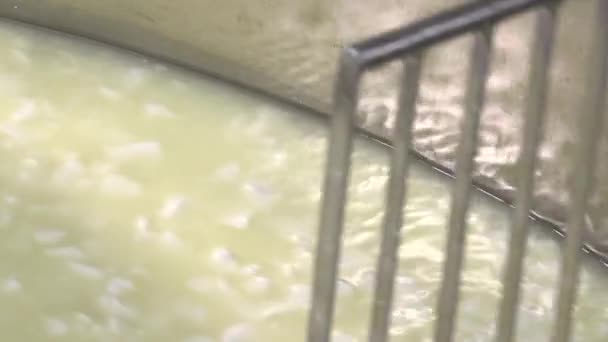 Co z surowego mleka ser Gouda - Materiał filmowy, wideo