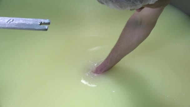 Gouda-juuston valmistus raakamaidosta
 - Materiaali, video