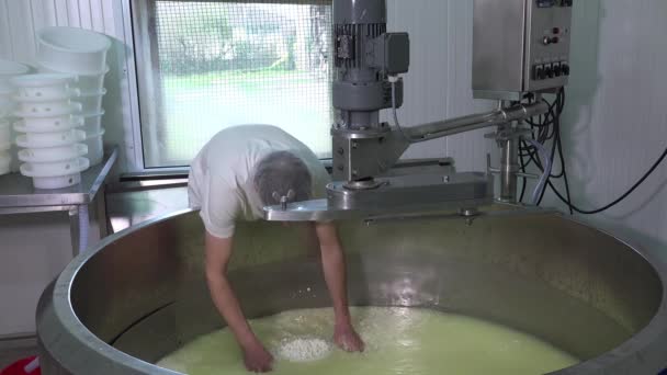 Gouda peyniri çiğ sütten yapma - Video, Çekim