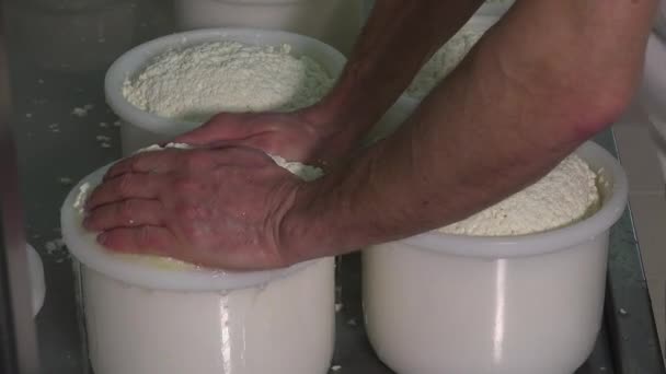Gouda-Käse aus Rohmilch - Filmmaterial, Video