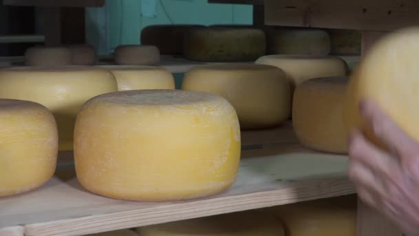 bolas de queso en la sala de envejecimiento
 - Imágenes, Vídeo