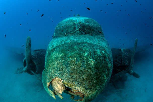 Airplane wreck diving - Photo, Image