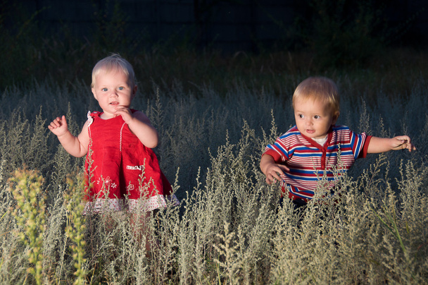 Діти ходять у полі в сутінках
 - Фото, зображення