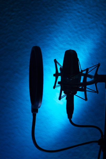 Hangfelvétel ének hang stúdiómikrofon - Fotó, kép