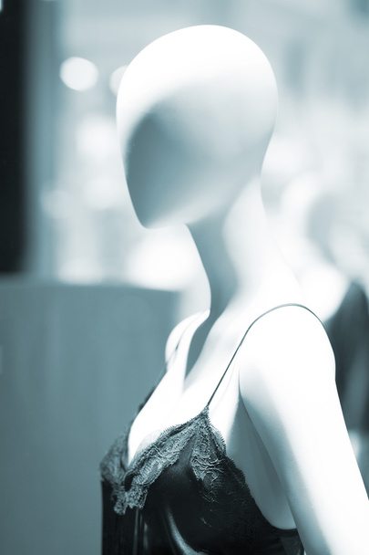 Underwear dummy lingerie store mannequin - Photo, Image