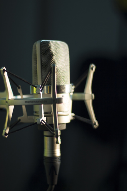 Audio recording vocal studio voice microphone - 写真・画像