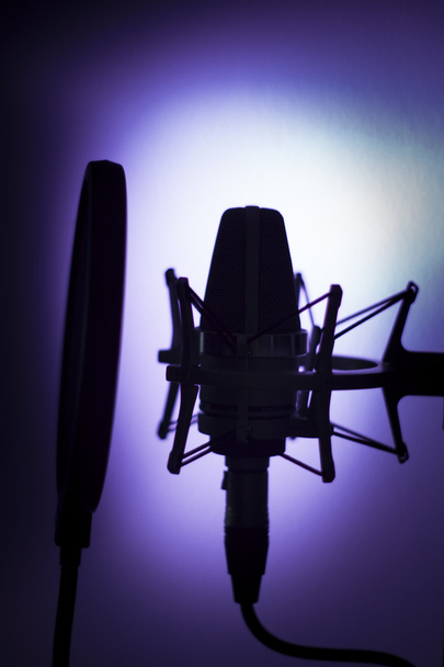 Ακουστική καταγραφή στούντιο φωνητικό μικρόφωνο φωνή - Φωτογραφία, εικόνα