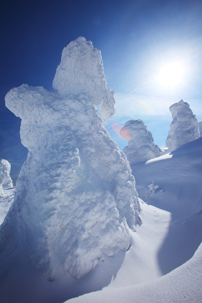 М'які паморозь, Mt.Zao в Японії - Фото, зображення