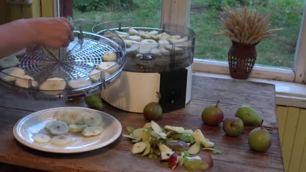 Hände legen in Scheiben geschnittene Birnen in Obsttrockner Maschinenschale. Nahaufnahme. 4k - Filmmaterial, Video