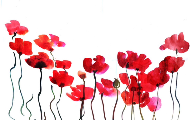 Watercolor artistic background: poppy flower illustration. - Valokuva, kuva