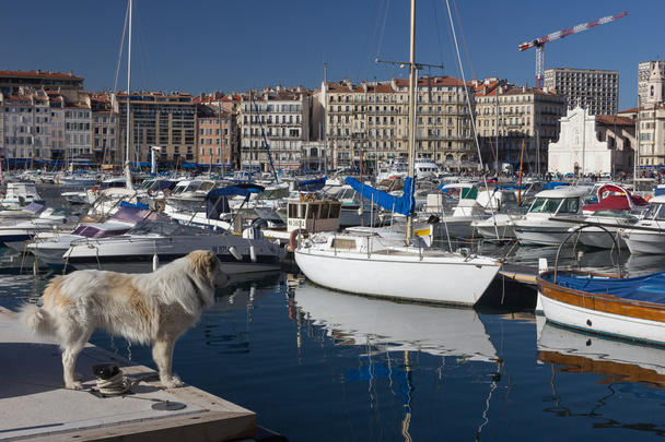 Yates en el puerto marítimo de Marsella
 - Foto, imagen