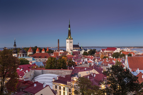 Ciudad vieja de Tallin
 - Foto, Imagen