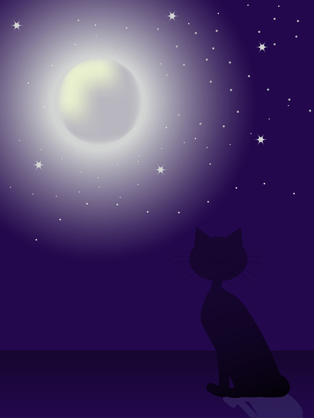 Sílhueta de gato à noite
 - Vetor, Imagem