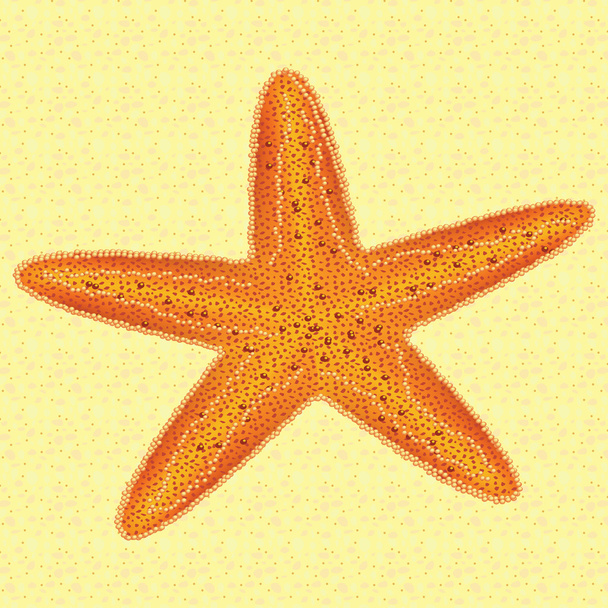 морська зірка
 - Вектор, зображення