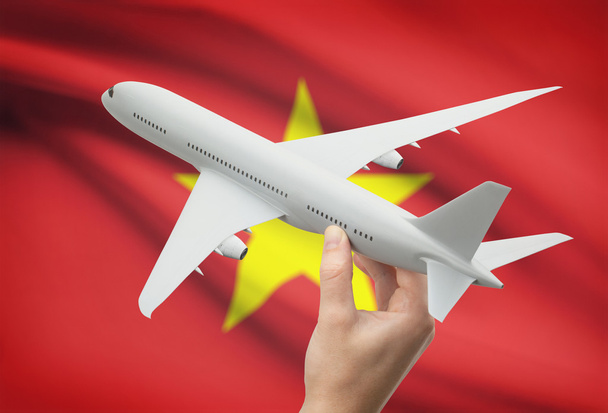 Airplane in hand with flag on background - Vietnam - Valokuva, kuva
