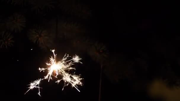 brandende sparkler, firecracker - Video