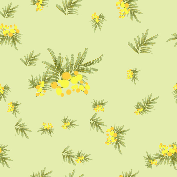 Floral mimosa background - Vector, Image