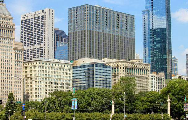 Центр міста Чикаго вид з парку - Фото, зображення