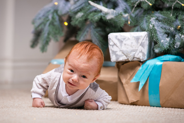 Chlapeček pod vánoční stromeček - Fotografie, Obrázek