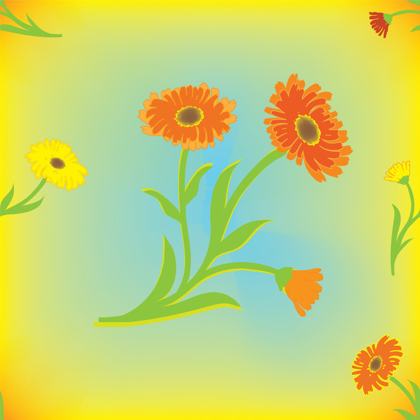 Calendula officinal in seamless composition - Vector, Image