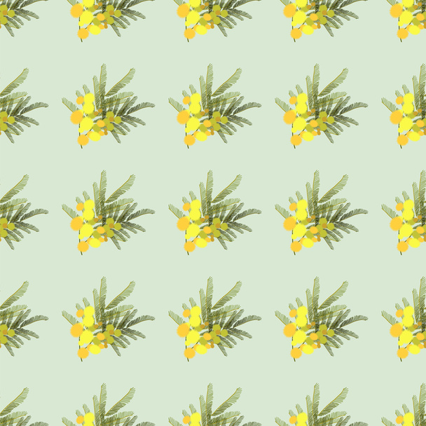 Floral mimosa background - Вектор, зображення