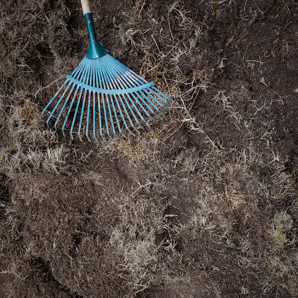 yard work, preparation soil in garden with rake - Photo, Image