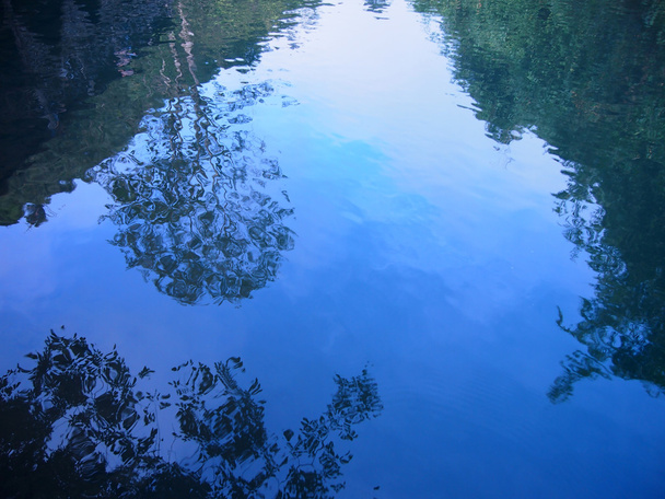 reflectie van de bomen in het water, bomen reflectie met blauwe lucht. silhouet bomen reflectie op water. - Foto, afbeelding