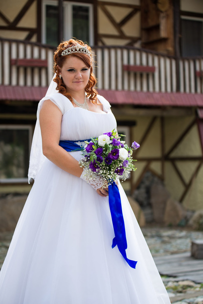 Beautiful bride on wedding day - Fotografie, Obrázek