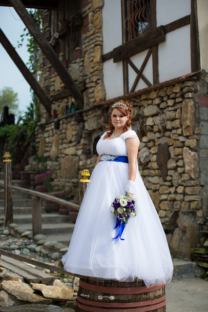 Beautiful bride on wedding day - Zdjęcie, obraz