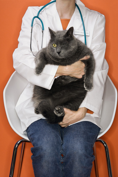 Veterinarian holding one eyed cat. - Valokuva, kuva